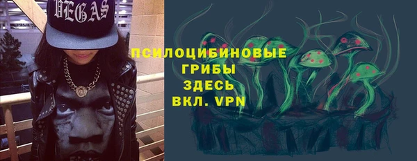 не бодяженный Алексин