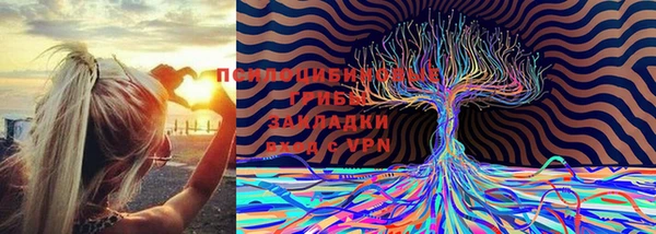 мдпв Вуктыл