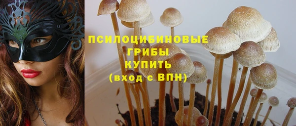 кокаин премиум Алексеевка