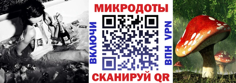 Псилоцибиновые грибы GOLDEN TEACHER  Заозёрный 