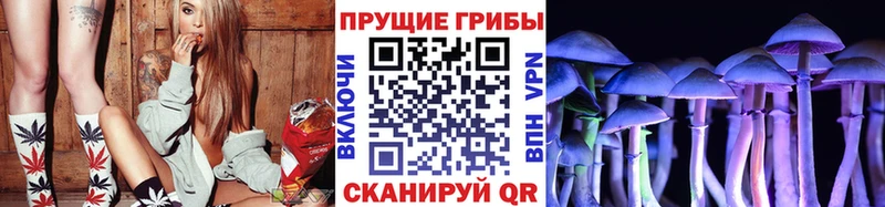 Галлюциногенные грибы мицелий Заозёрный